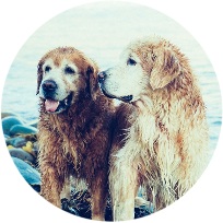 Midge and Maddie